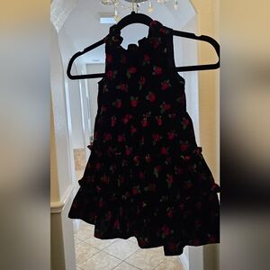 Janie and Jack rose dress